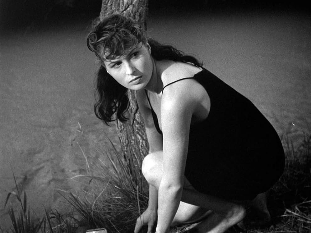 にがい米の画像