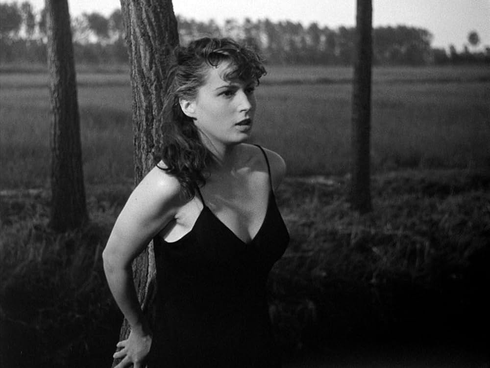 にがい米の画像