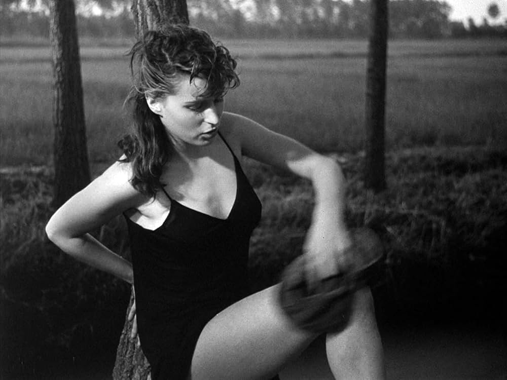 にがい米の画像