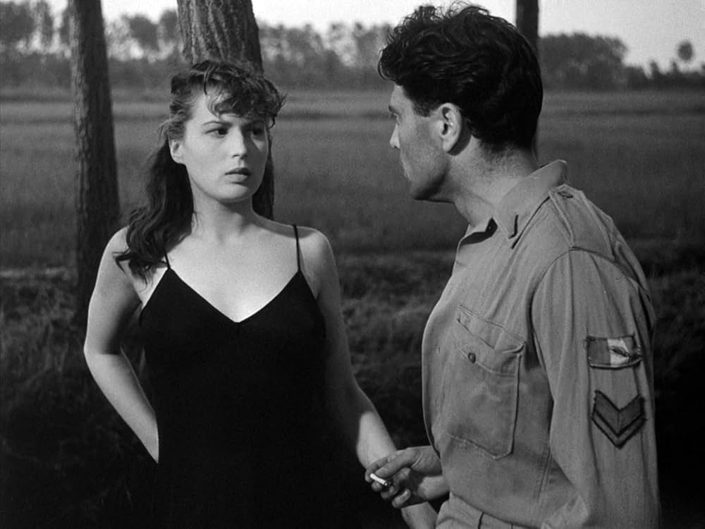 にがい米の画像