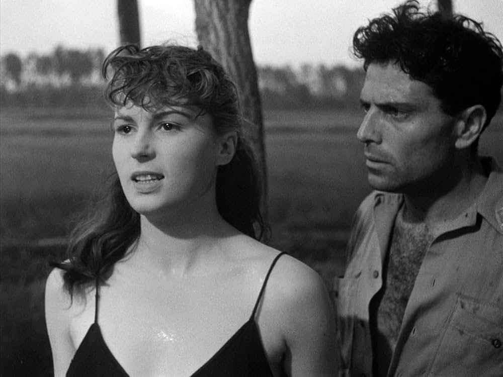 にがい米の画像