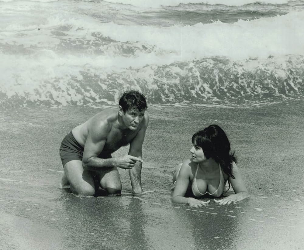 アフリカ大空輸の画像