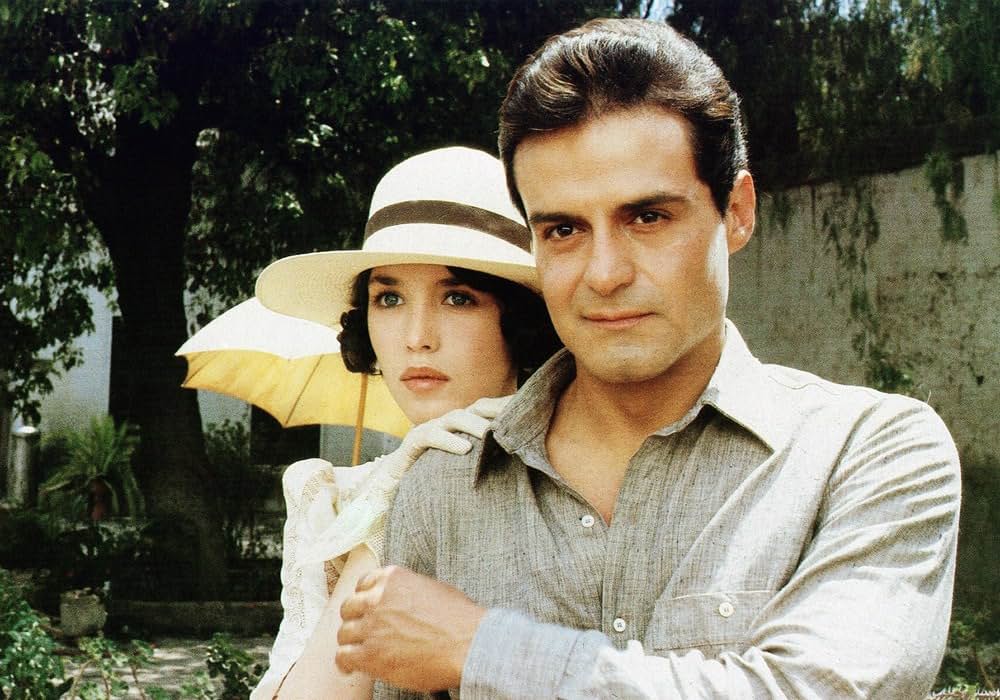 アントニエッタの画像