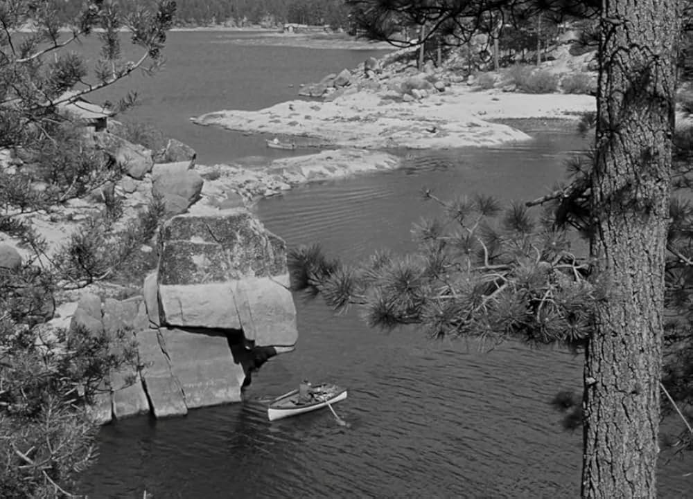 暴力行為の画像