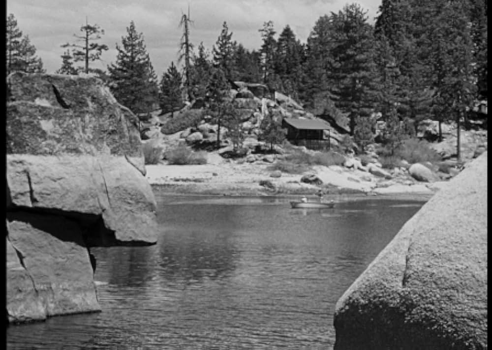 暴力行為の画像