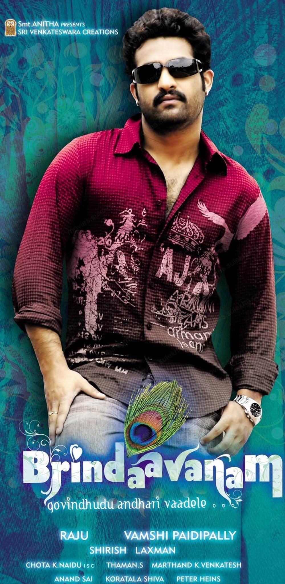 ブリンダーヴァナム 恋の輪舞の画像