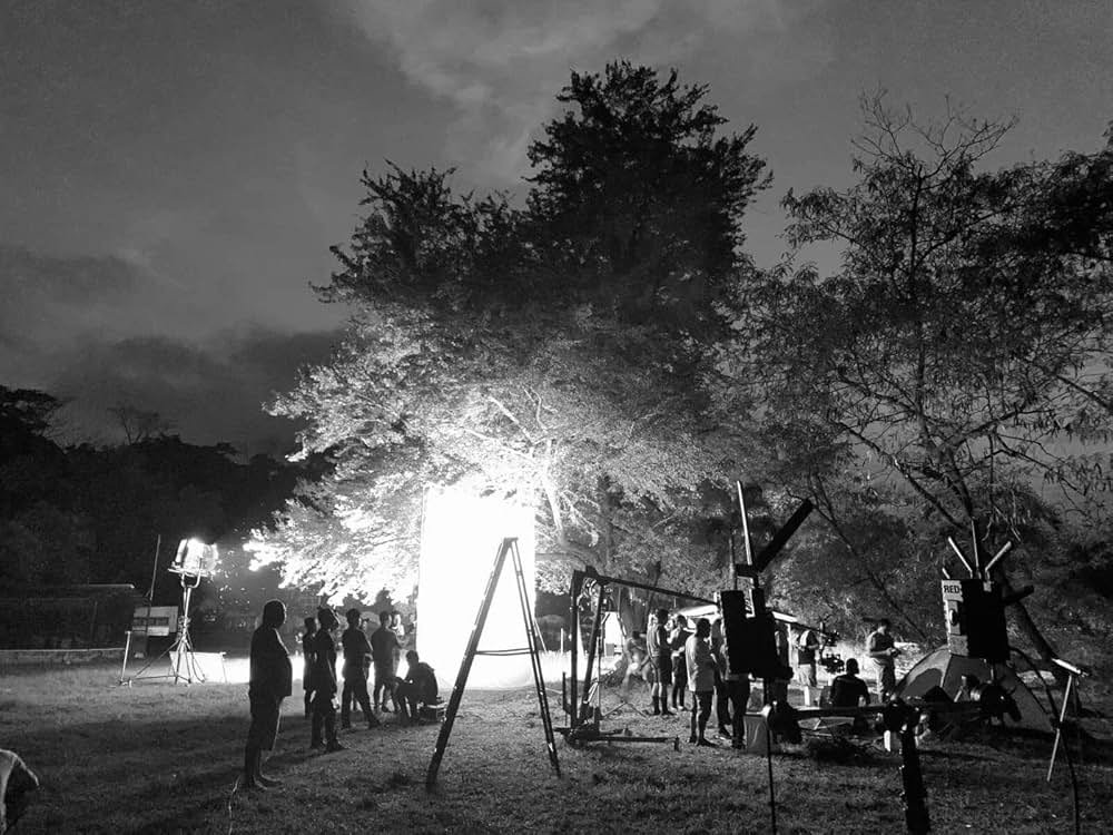 僕のアマンダの画像