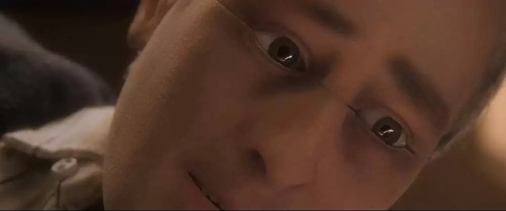 アノマリサの画像