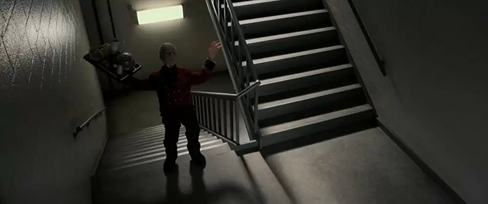 アノマリサの画像