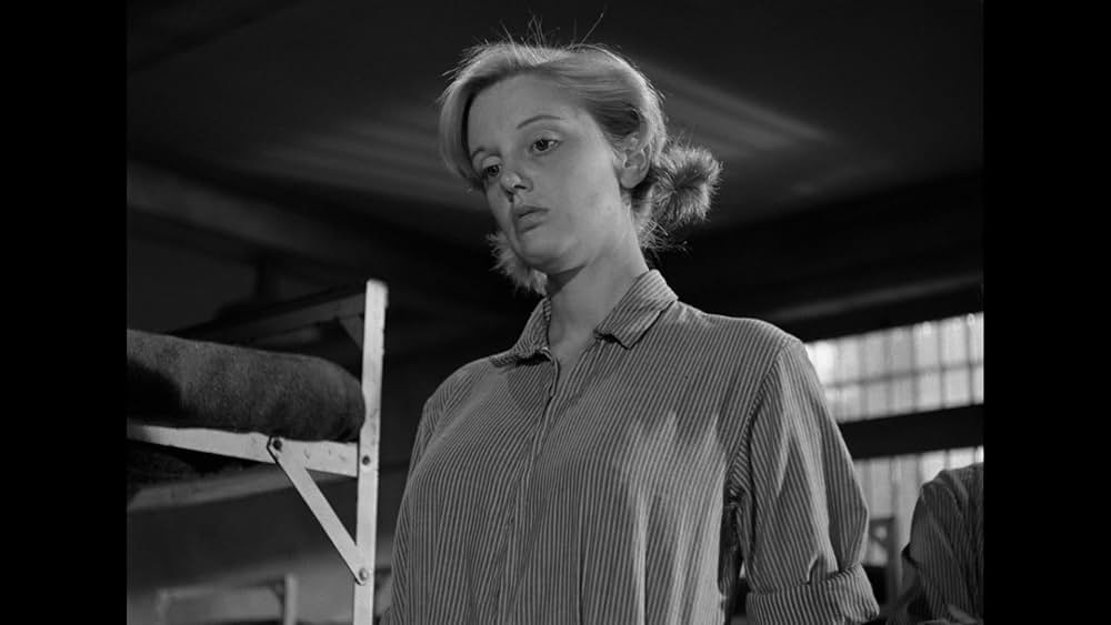 女囚の掟の画像