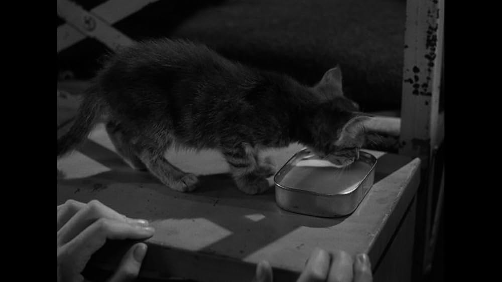 女囚の掟の画像