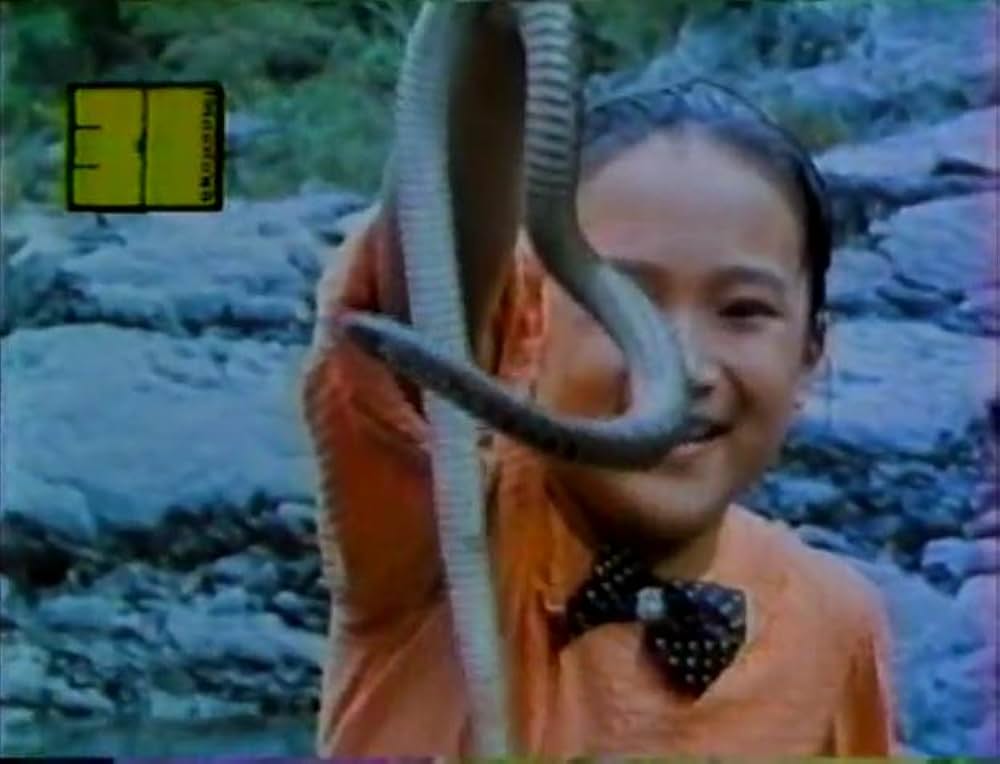 大蛇大戦の画像