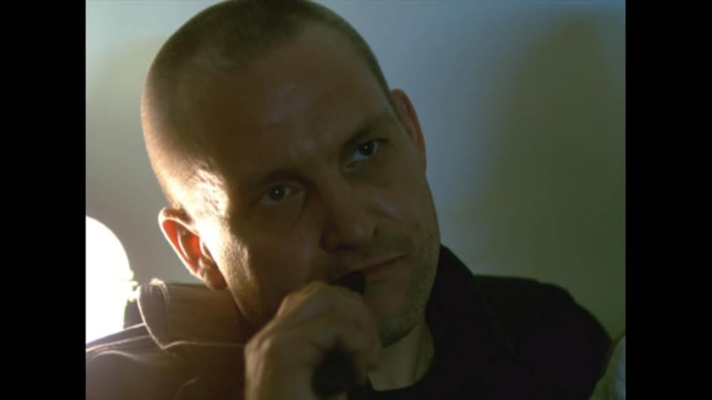 スティンガーの画像