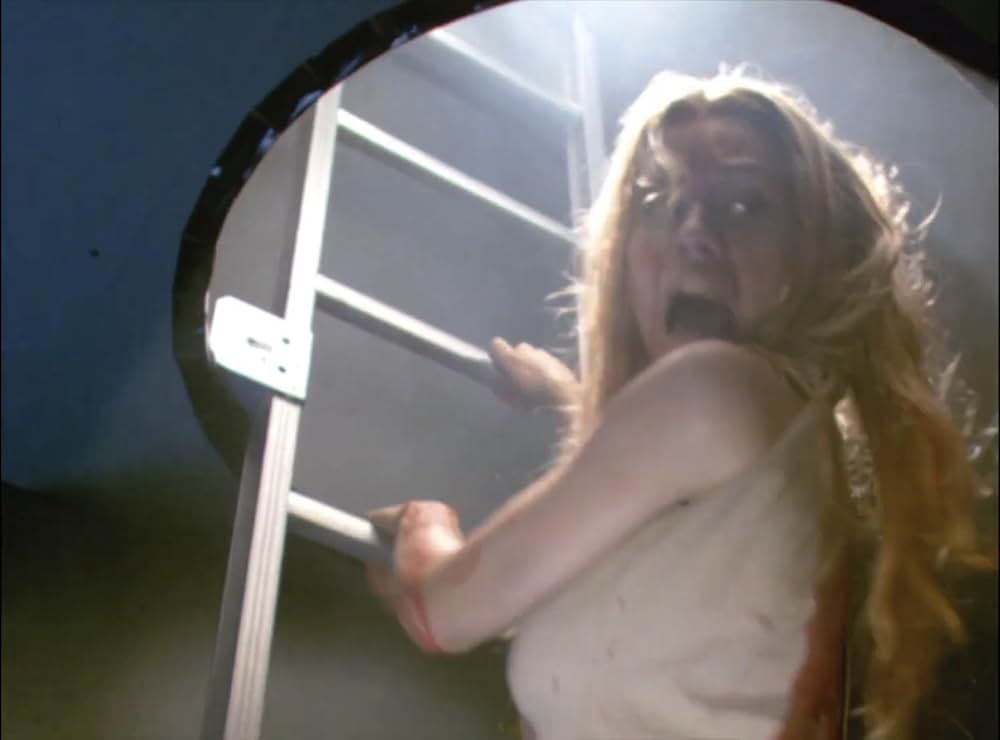 スティンガーの画像