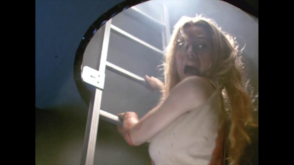 スティンガーの画像