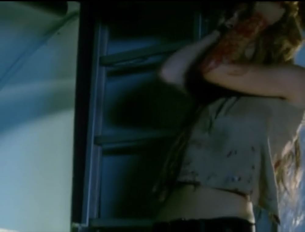 スティンガーの画像