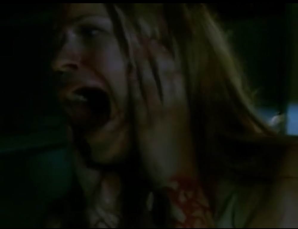 スティンガーの画像