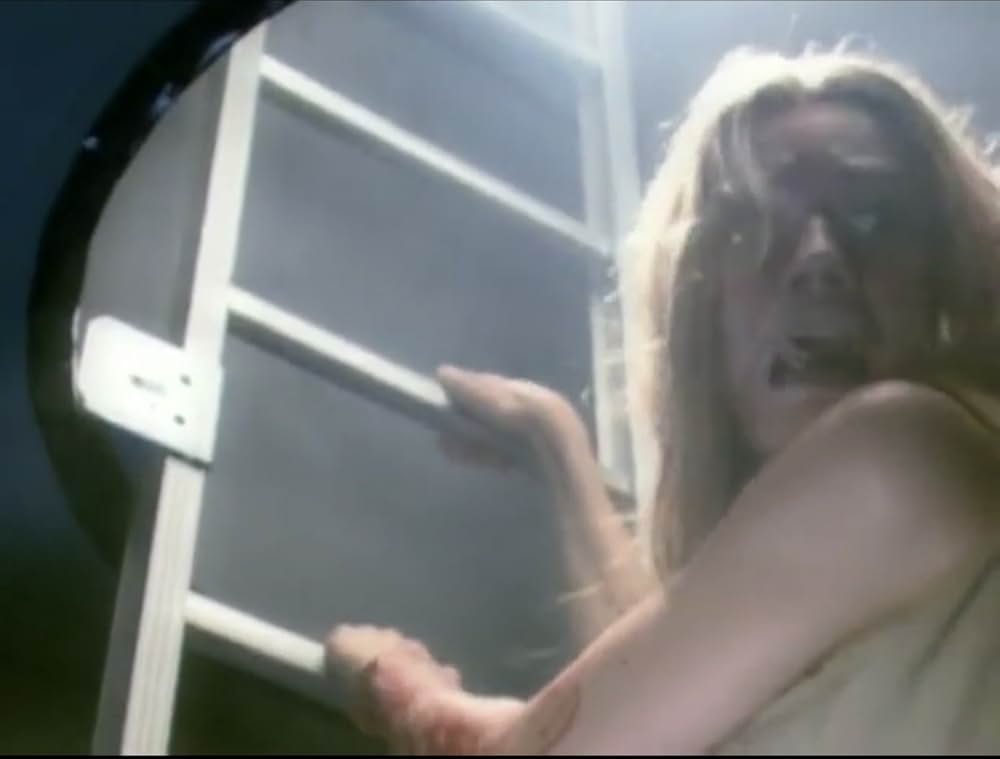 スティンガーの画像