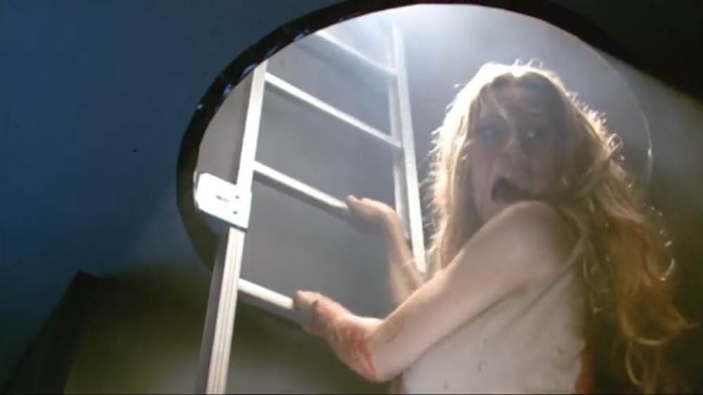 スティンガーの画像