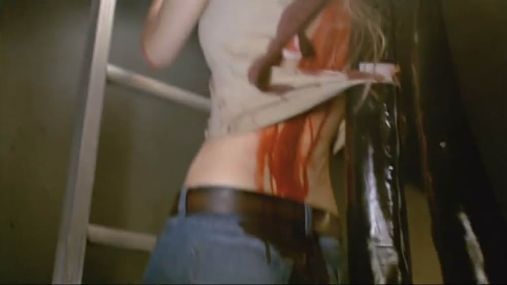 スティンガーの画像