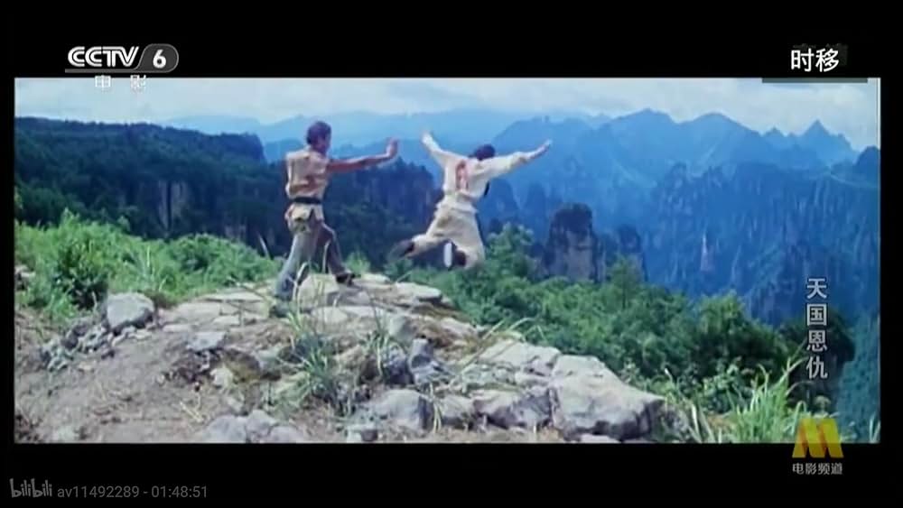 太平天国伝／少年拳士の復讐の画像