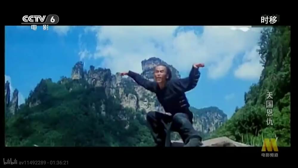 太平天国伝／少年拳士の復讐の画像