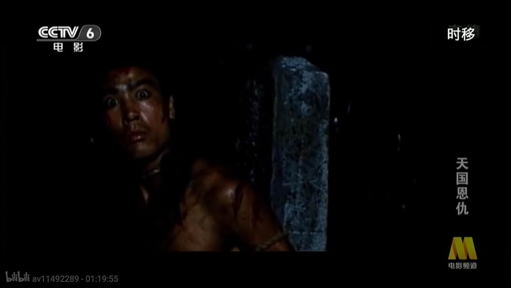 太平天国伝／少年拳士の復讐の画像