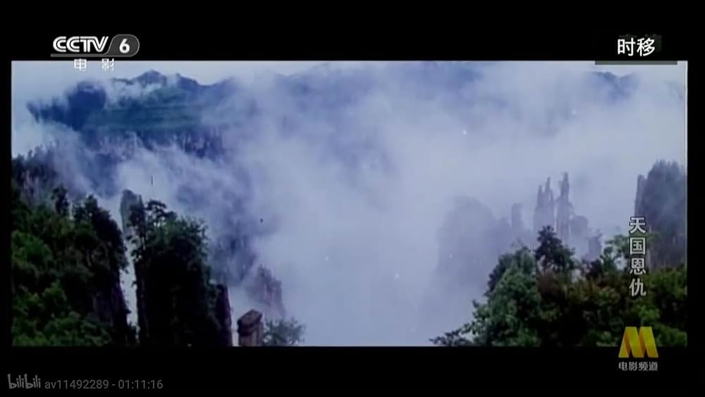 太平天国伝／少年拳士の復讐の画像