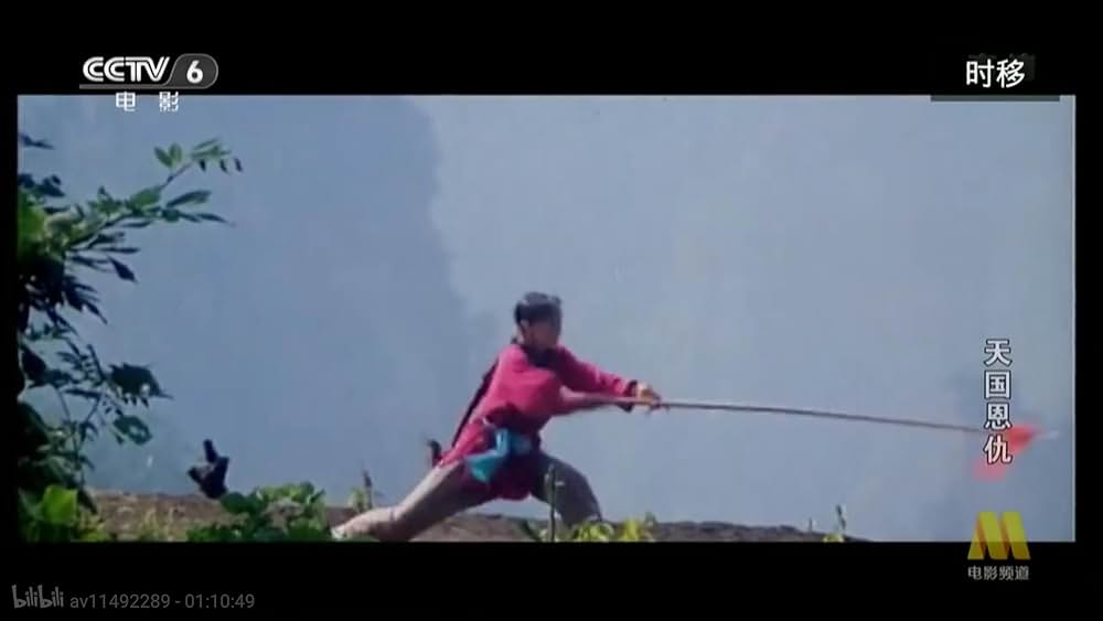 太平天国伝／少年拳士の復讐の画像