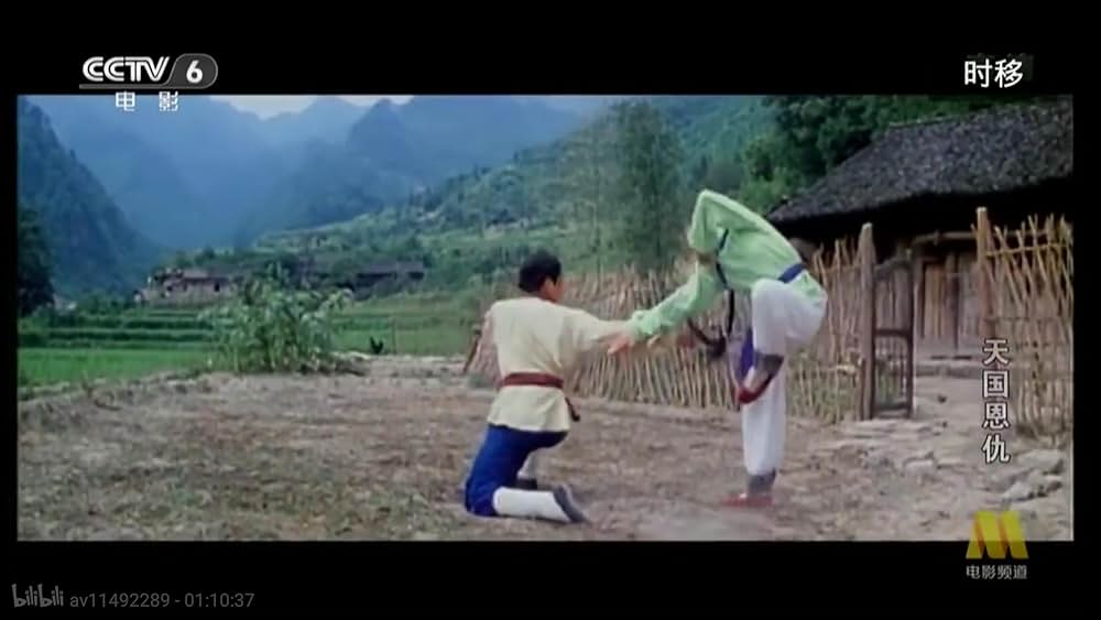 太平天国伝／少年拳士の復讐の画像