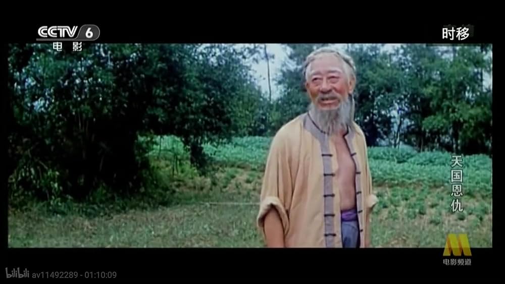 太平天国伝／少年拳士の復讐の画像