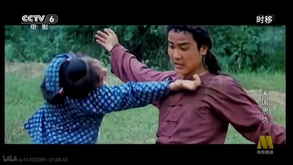 太平天国伝／少年拳士の復讐の画像