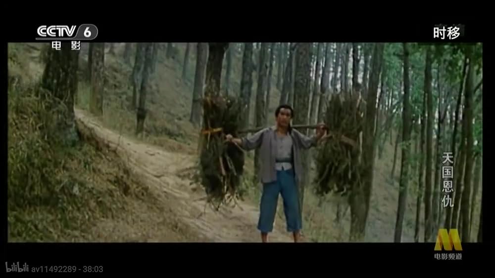 太平天国伝／少年拳士の復讐の画像