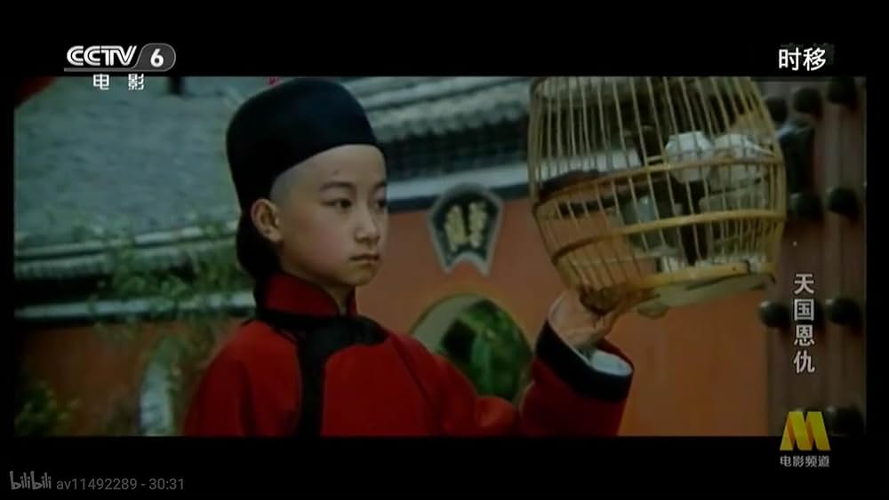 太平天国伝／少年拳士の復讐の画像