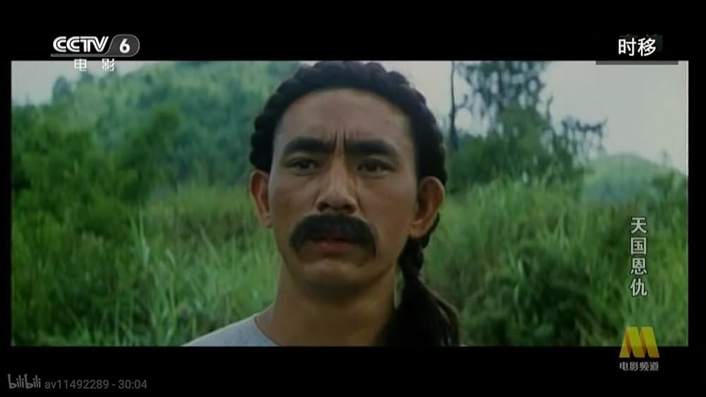 太平天国伝／少年拳士の復讐の画像