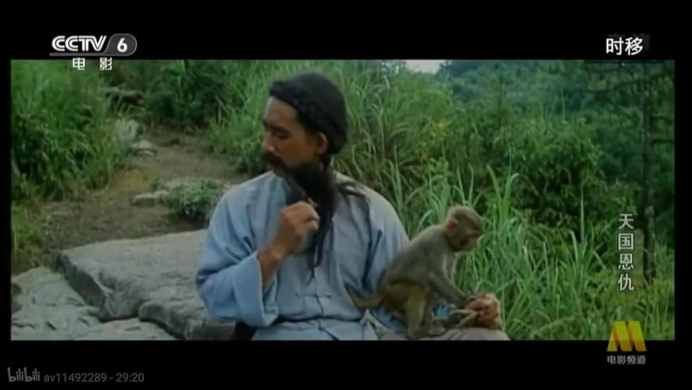 太平天国伝／少年拳士の復讐の画像