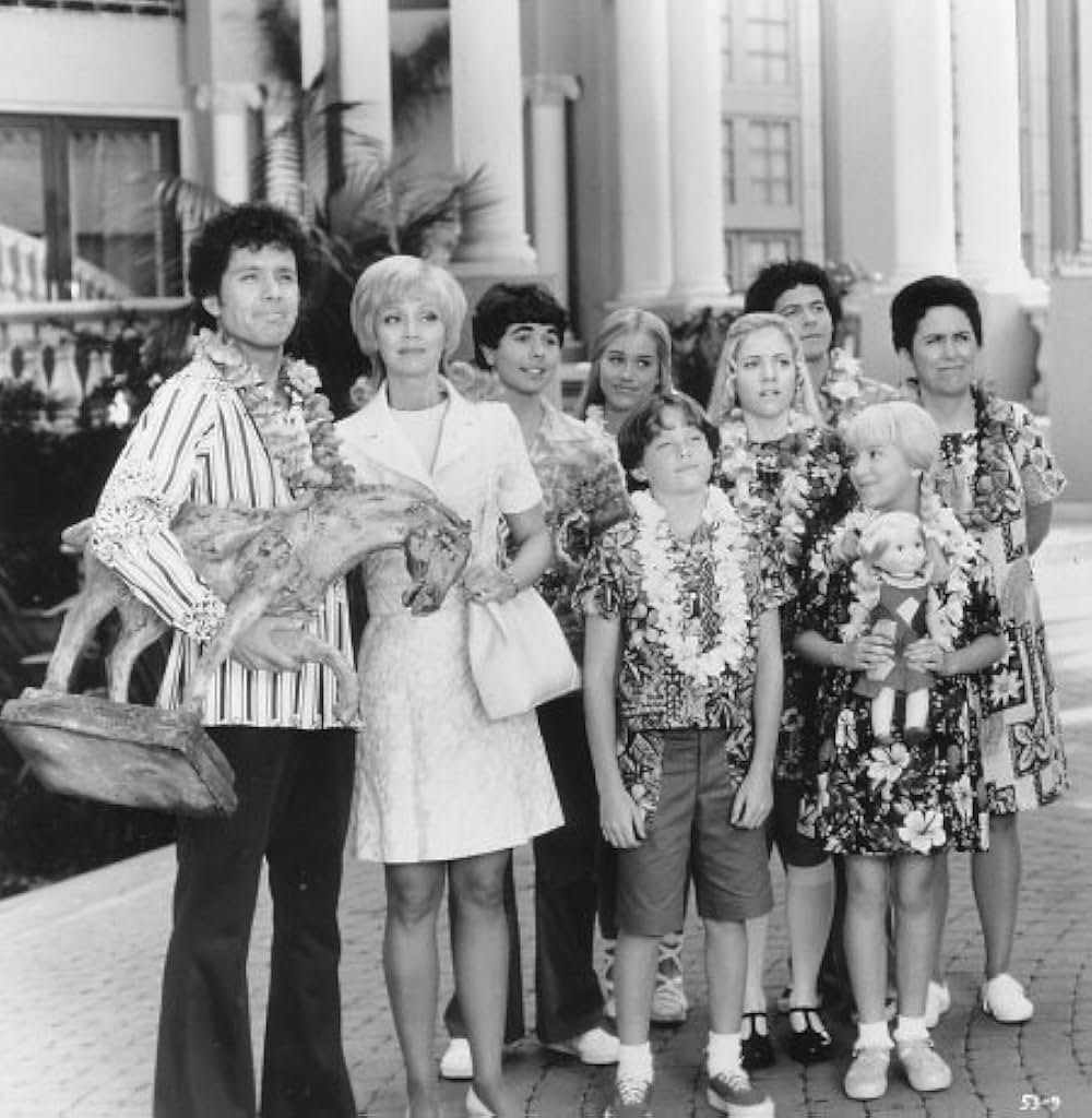 ゆかいなブレディー家／トラブルinハワイの画像