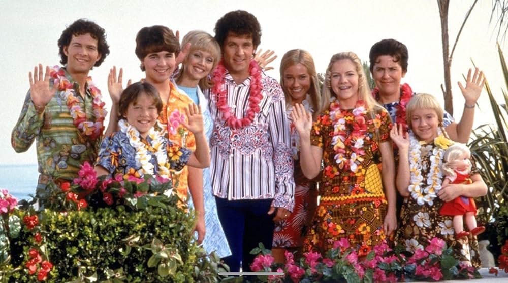 ゆかいなブレディー家／トラブルinハワイの画像