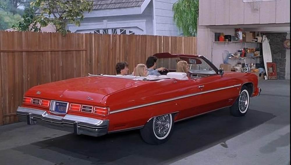 ゆかいなブレディー家／トラブルinハワイの画像