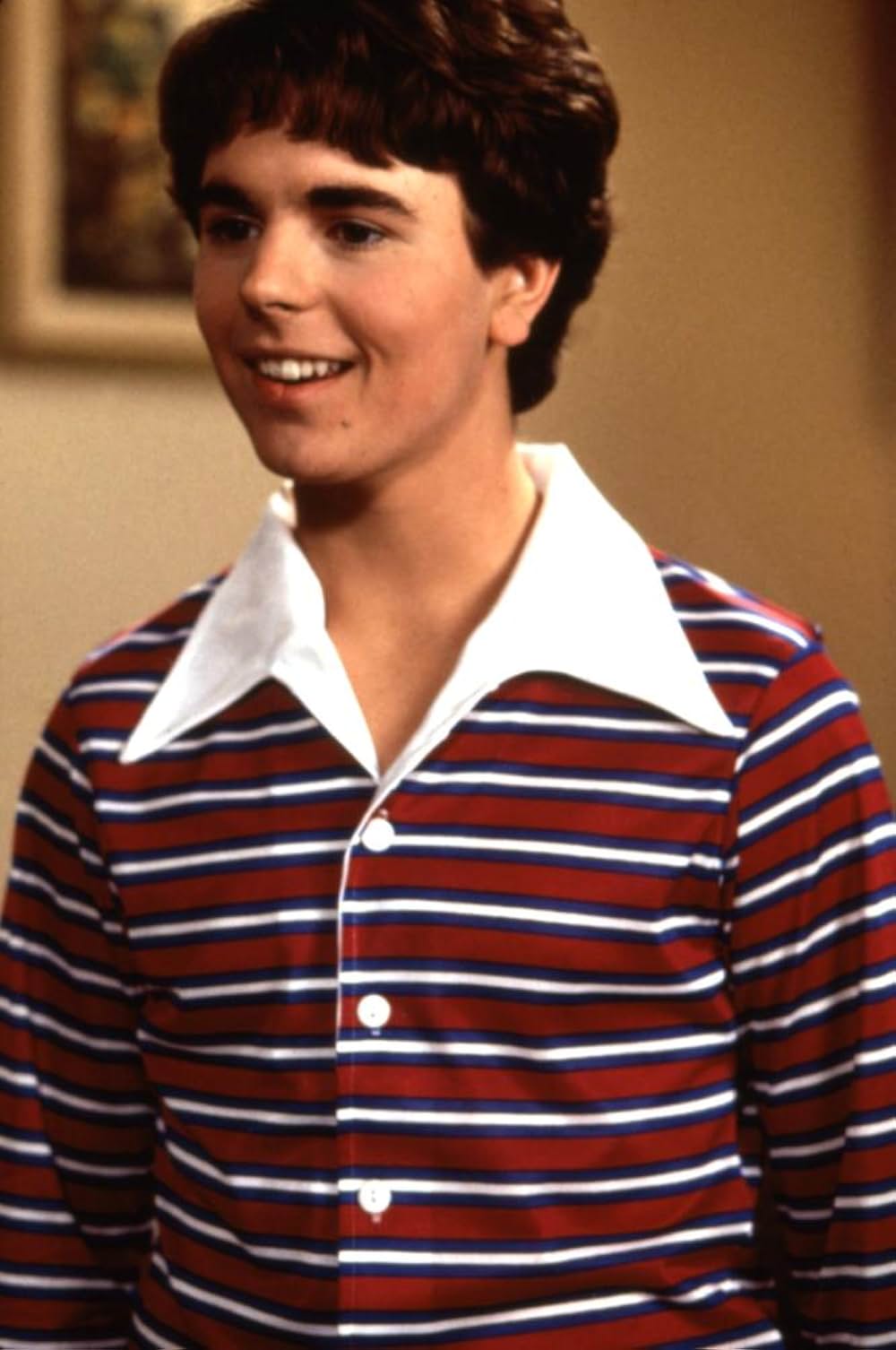 ゆかいなブレディー家／トラブルinハワイの画像