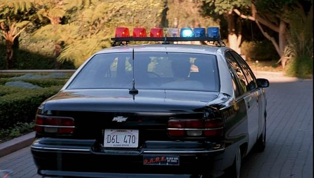 ゆかいなブレディー家／トラブルinハワイの画像