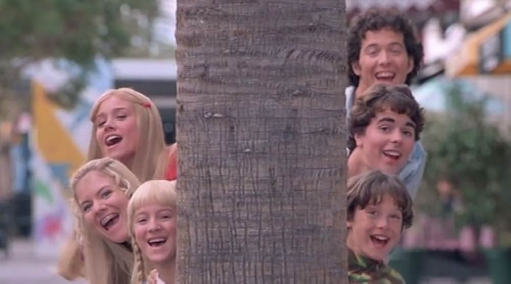 ゆかいなブレディー家／トラブルinハワイの画像