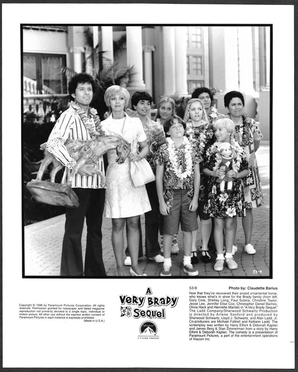 ゆかいなブレディー家／トラブルinハワイの画像