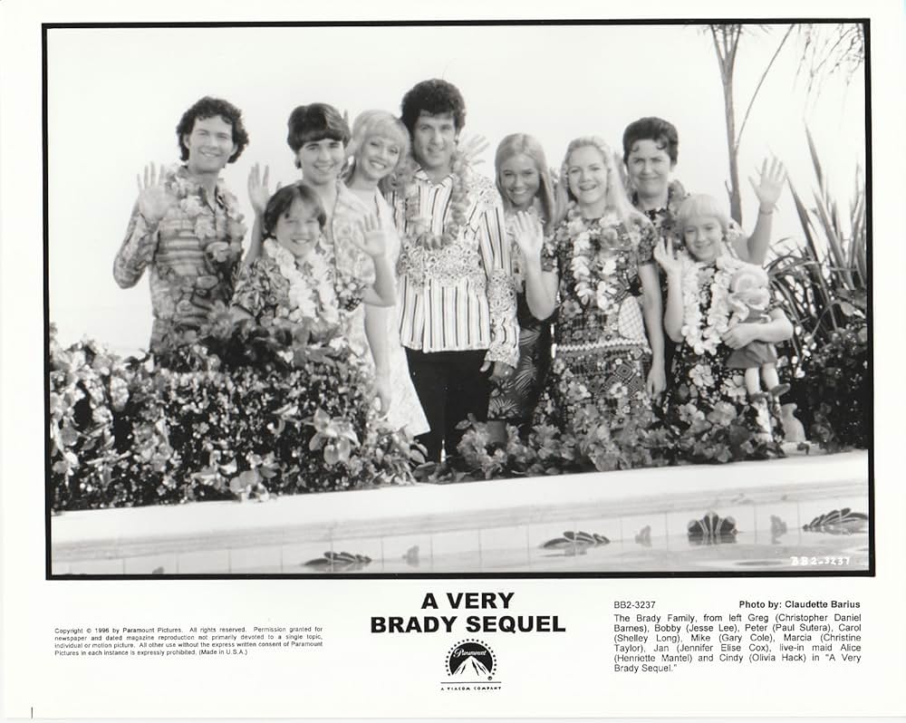 ゆかいなブレディー家／トラブルinハワイの画像