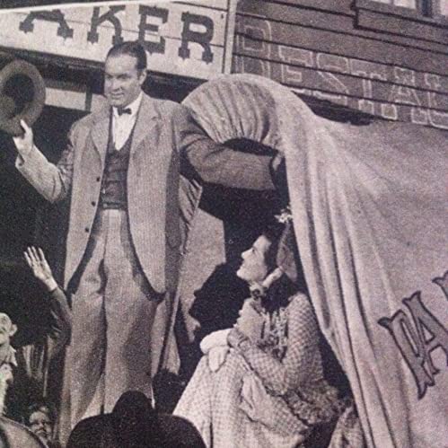 腰抜け二挺拳銃の画像