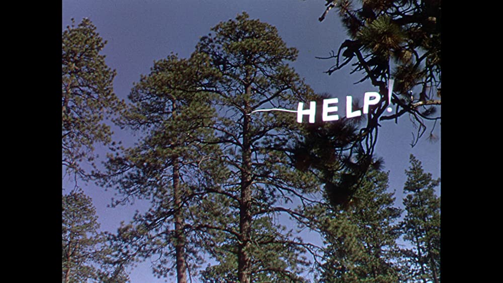 腰抜け二挺拳銃の画像