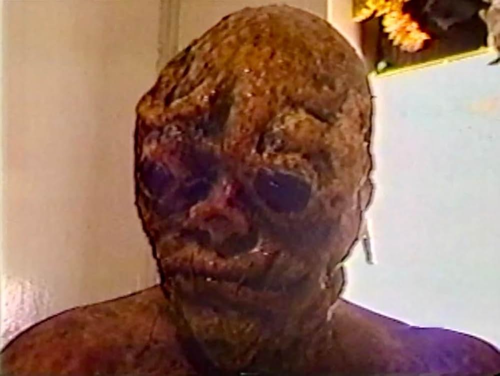 I Never Left the White Room（原題）の画像