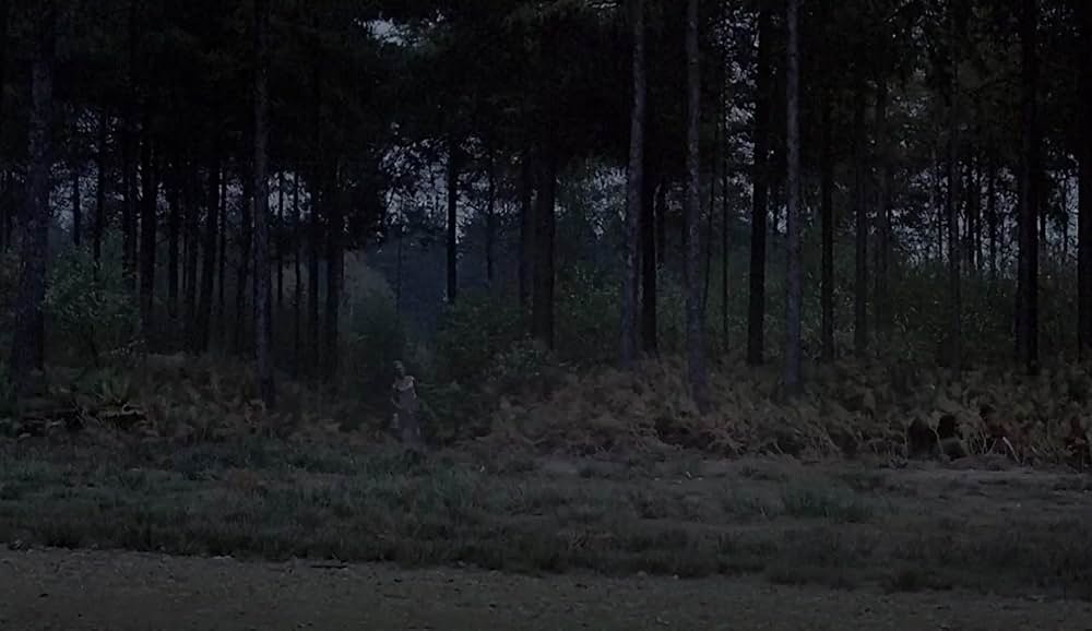 吸血鬼の接吻の画像