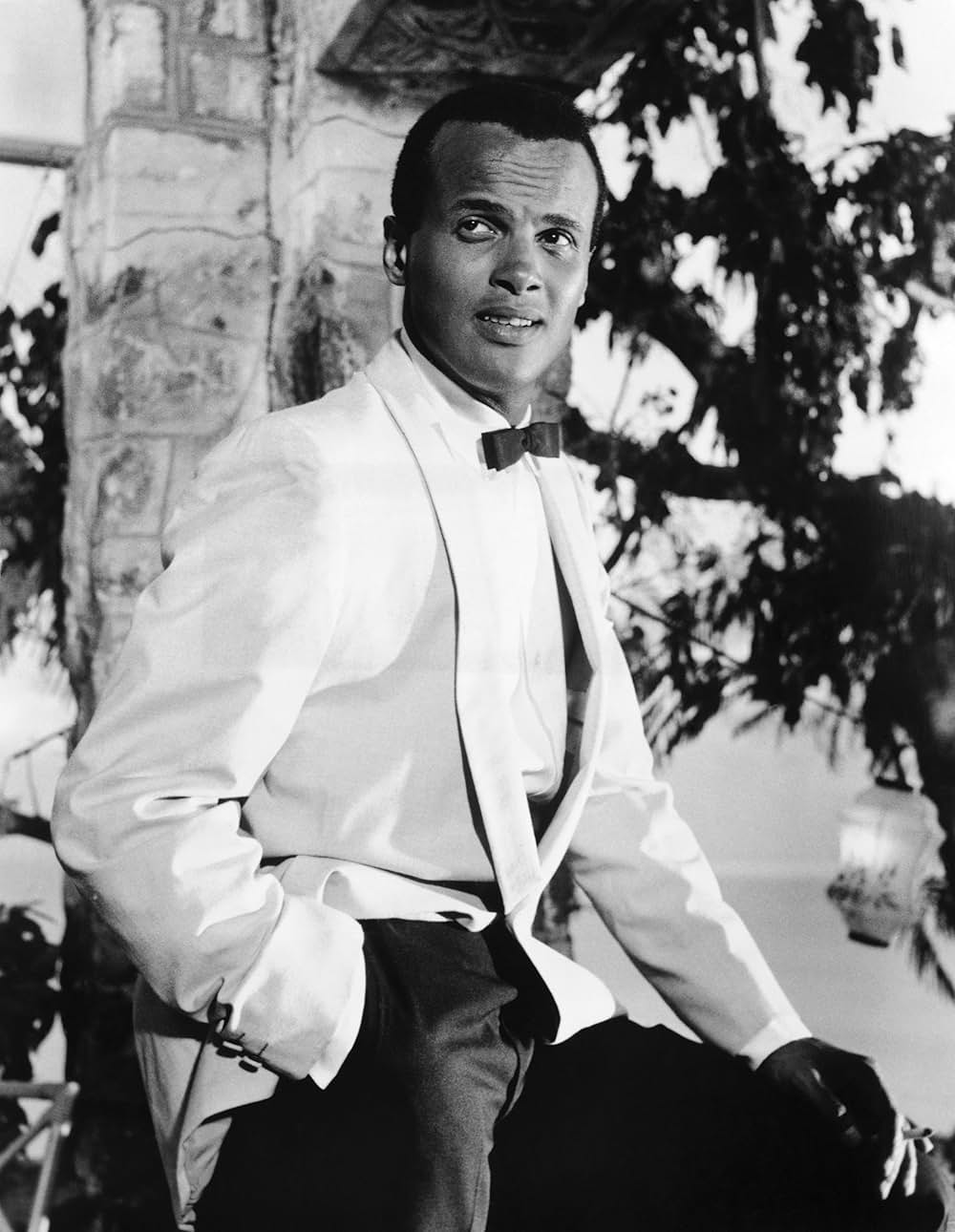 日のあたる島の画像