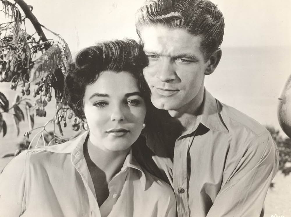 日のあたる島の画像